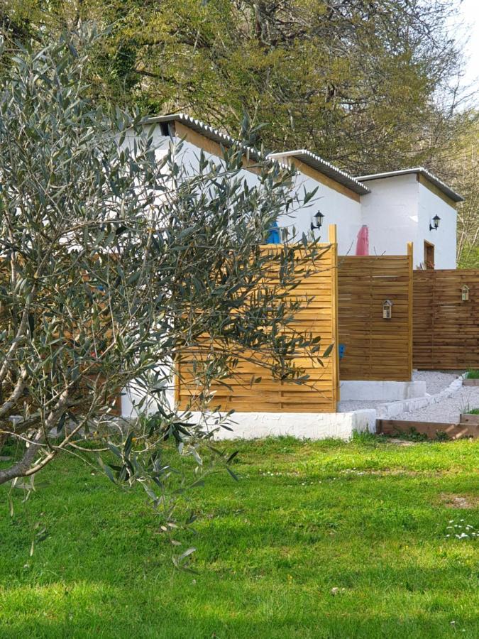 TerrassonDomaine Mon Doux Reve住宿加早餐旅馆 外观 照片