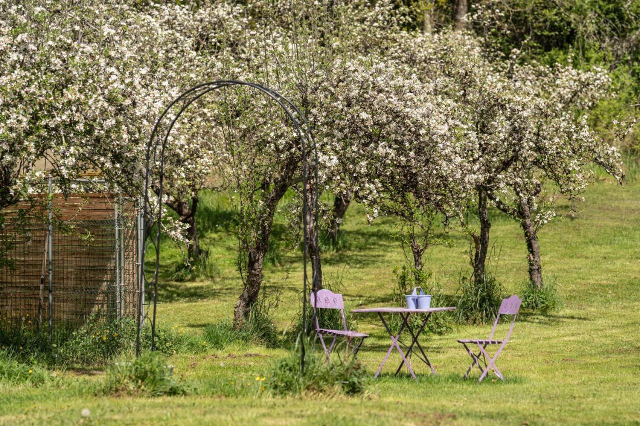 TerrassonDomaine Mon Doux Reve住宿加早餐旅馆 外观 照片